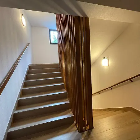 Pensiunea Sky Hub Guest house *